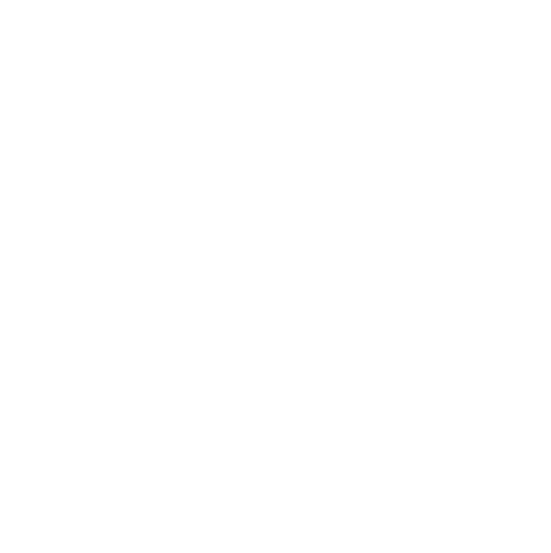 Paragon Safety